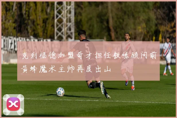 克利福德加盟奇才担任教练顾问前黄蜂魔术主帅再度出山